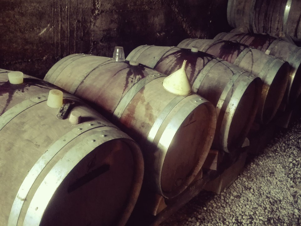 photo vinification n°7