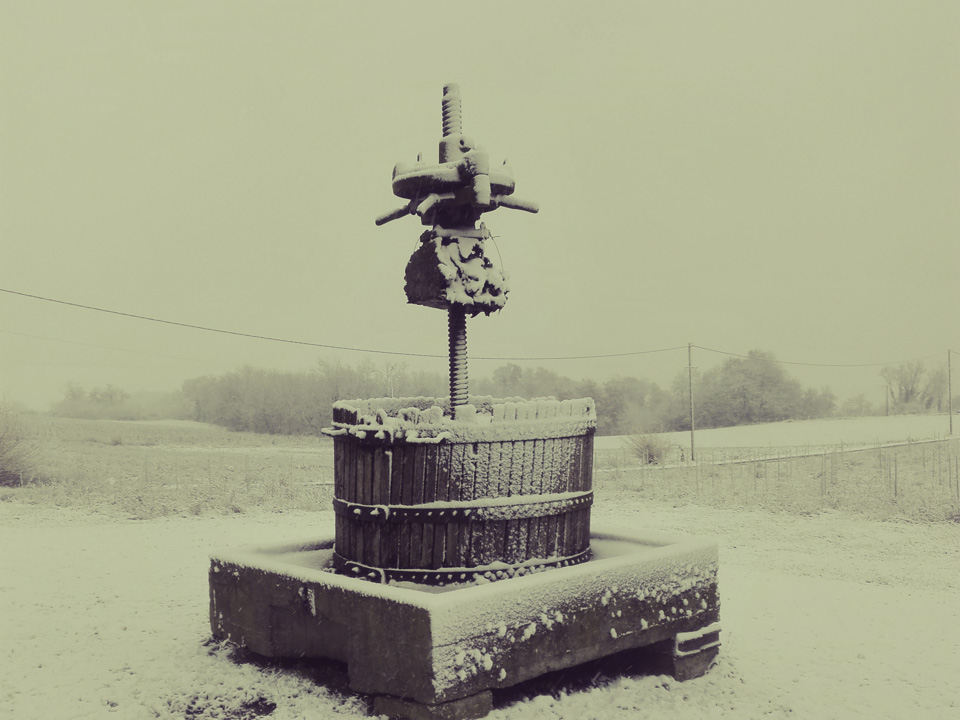 photo vignoble n°7